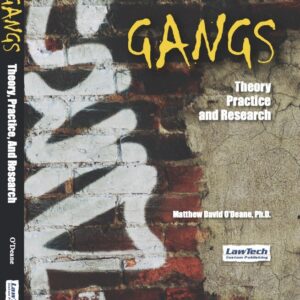 Gangs Theory Practice and Research