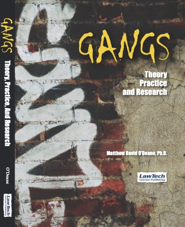 Gangs Theory Practice and Research